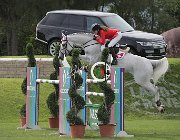 Muller U Tabasca CsioArJYR SS7 8386 : CSIO Giovani Arezzo, Muller Chantal, U Tabasca, foto Stefano Secchi ©